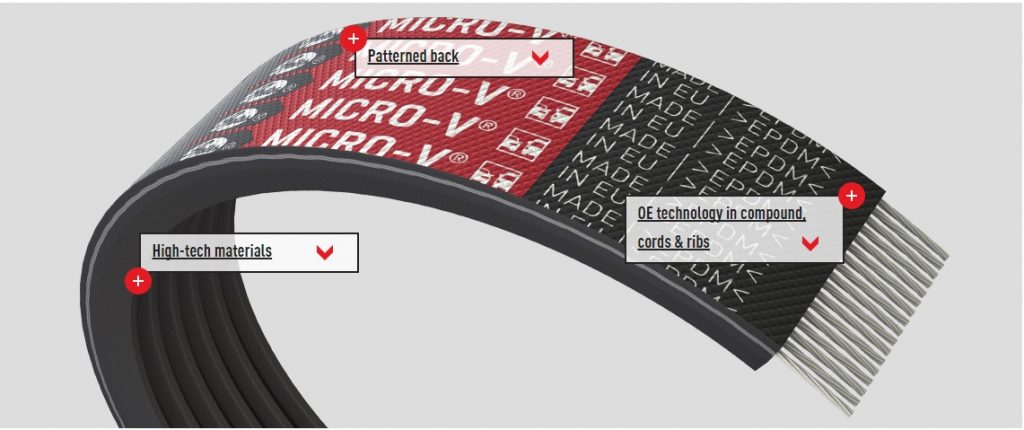 belt